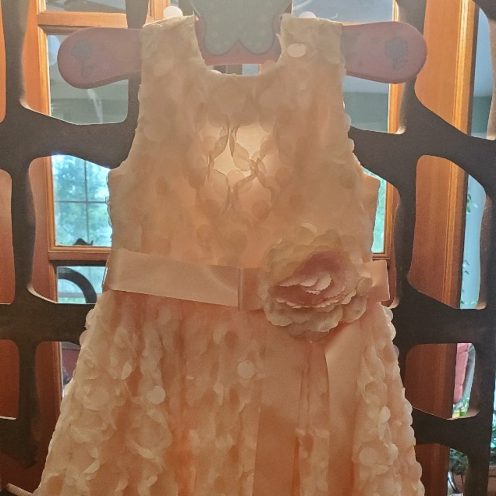 Girls Dress